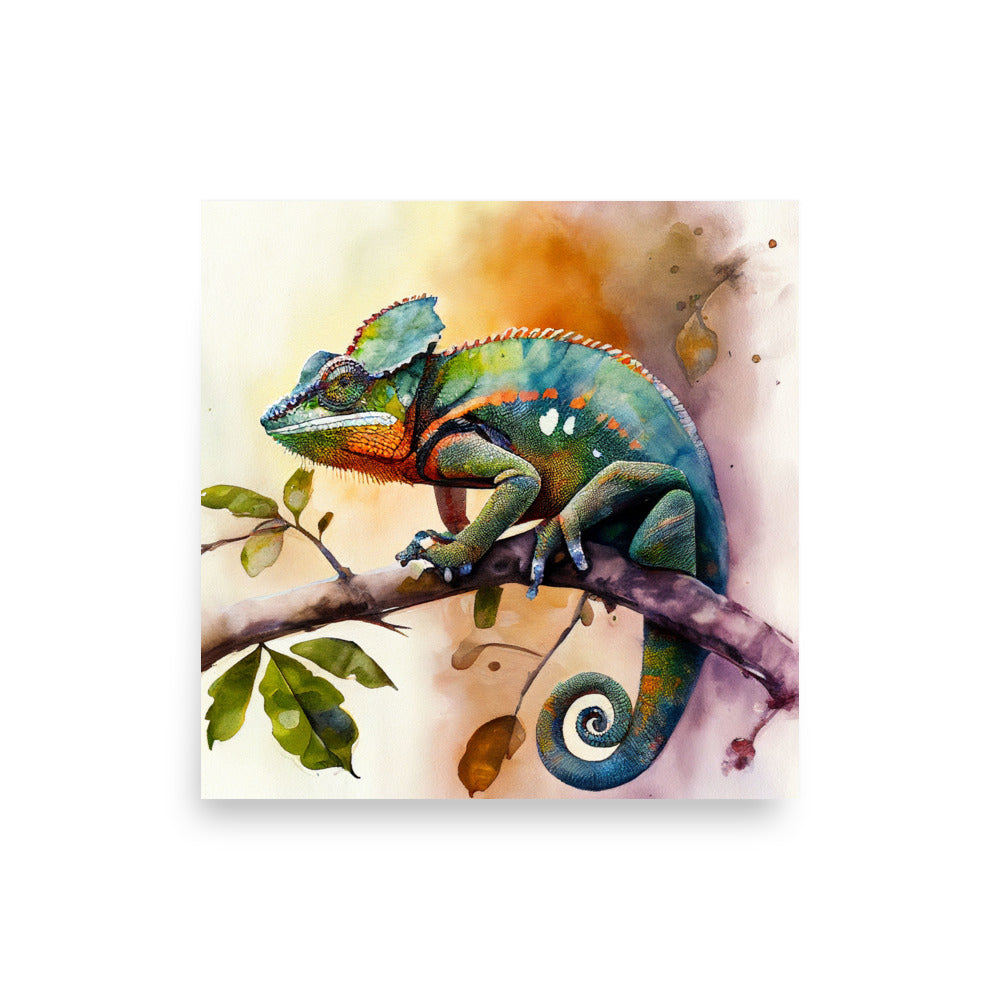 Wildlife: Chameleon