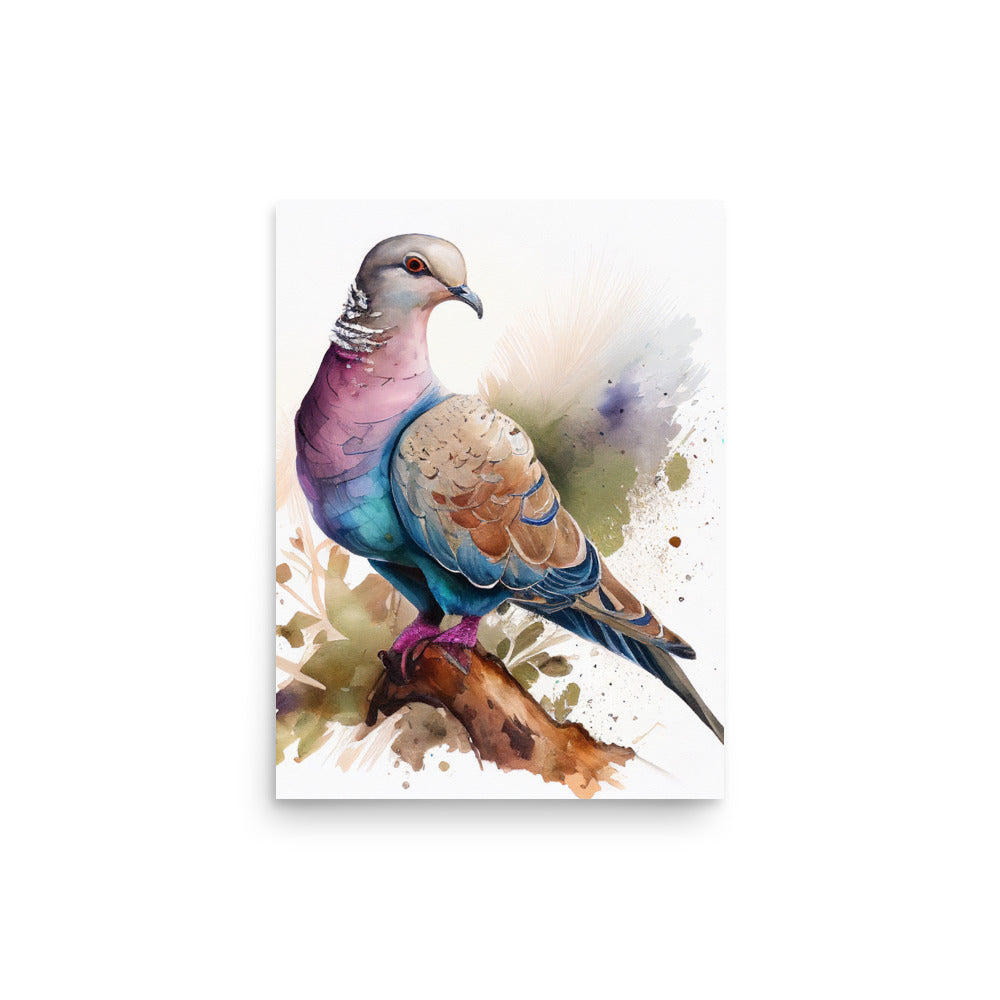 Wildlife: African Dove