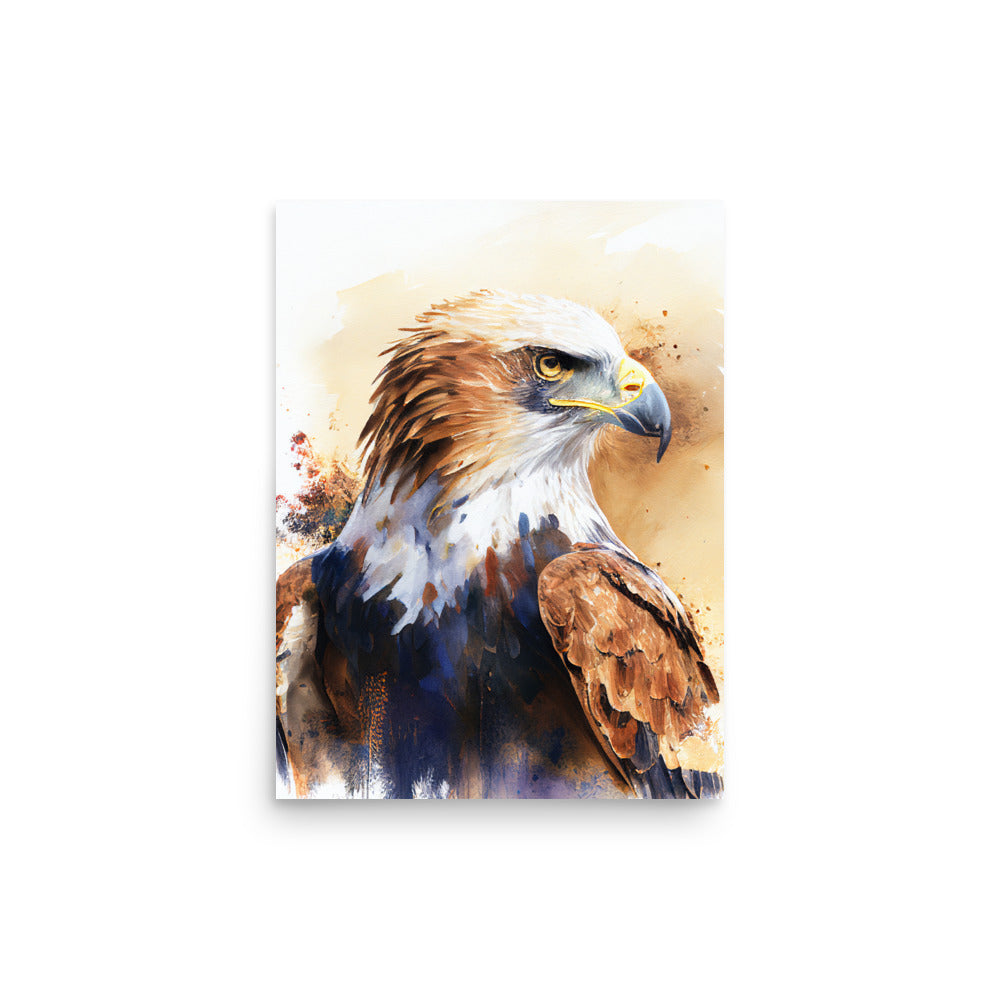 Wildlife: African Eagle