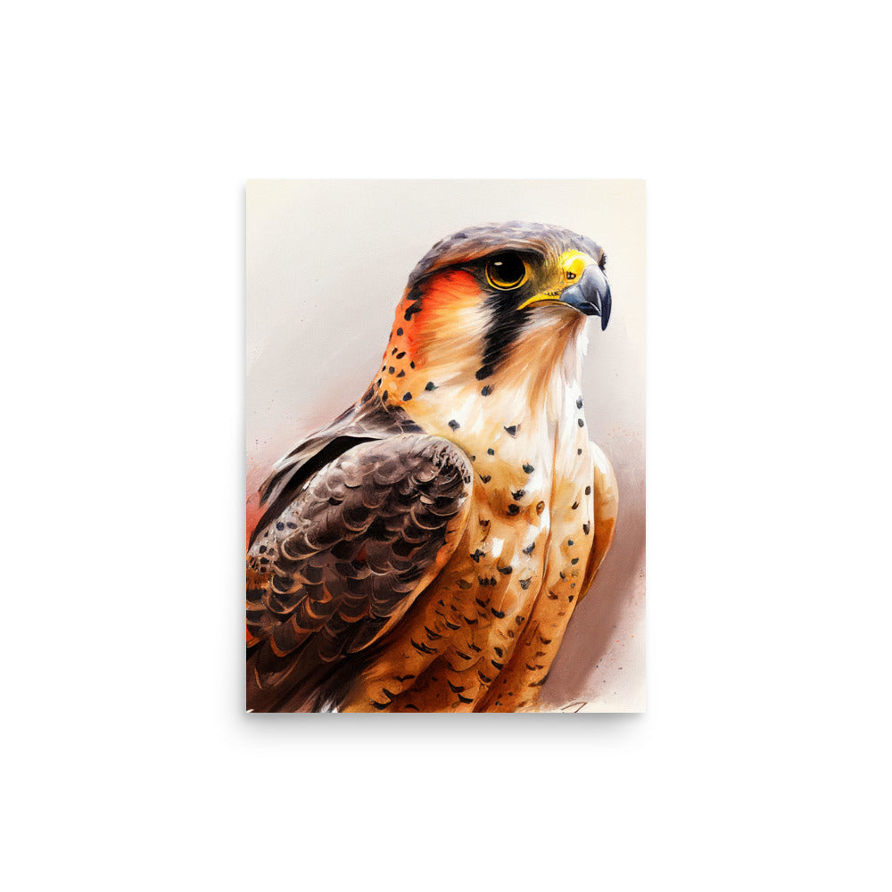 Wildlife: Falcon
