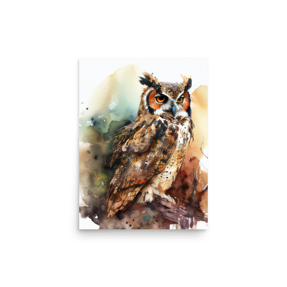 Wildlife: Owl