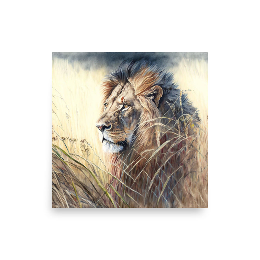 Wildlife: Lion in the grass