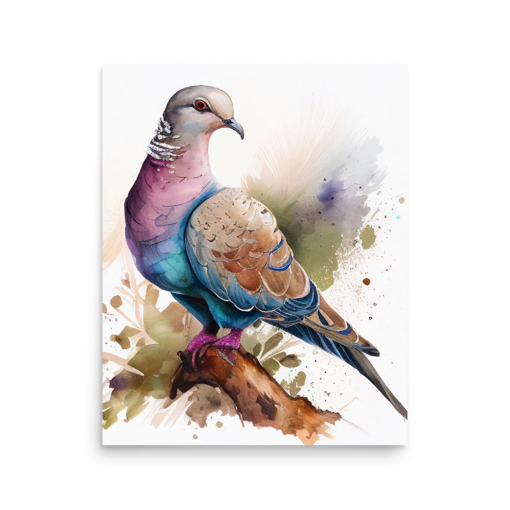 Wildlife: African Dove