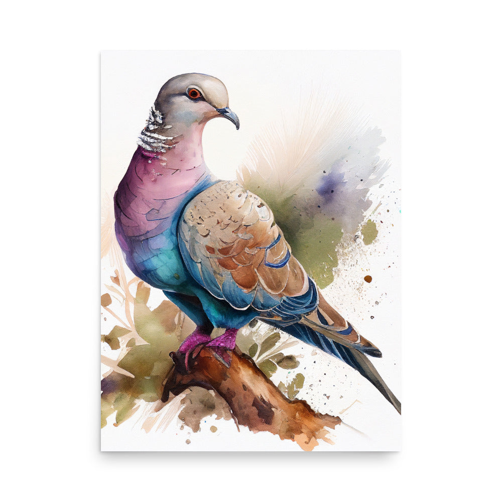 Wildlife: African Dove