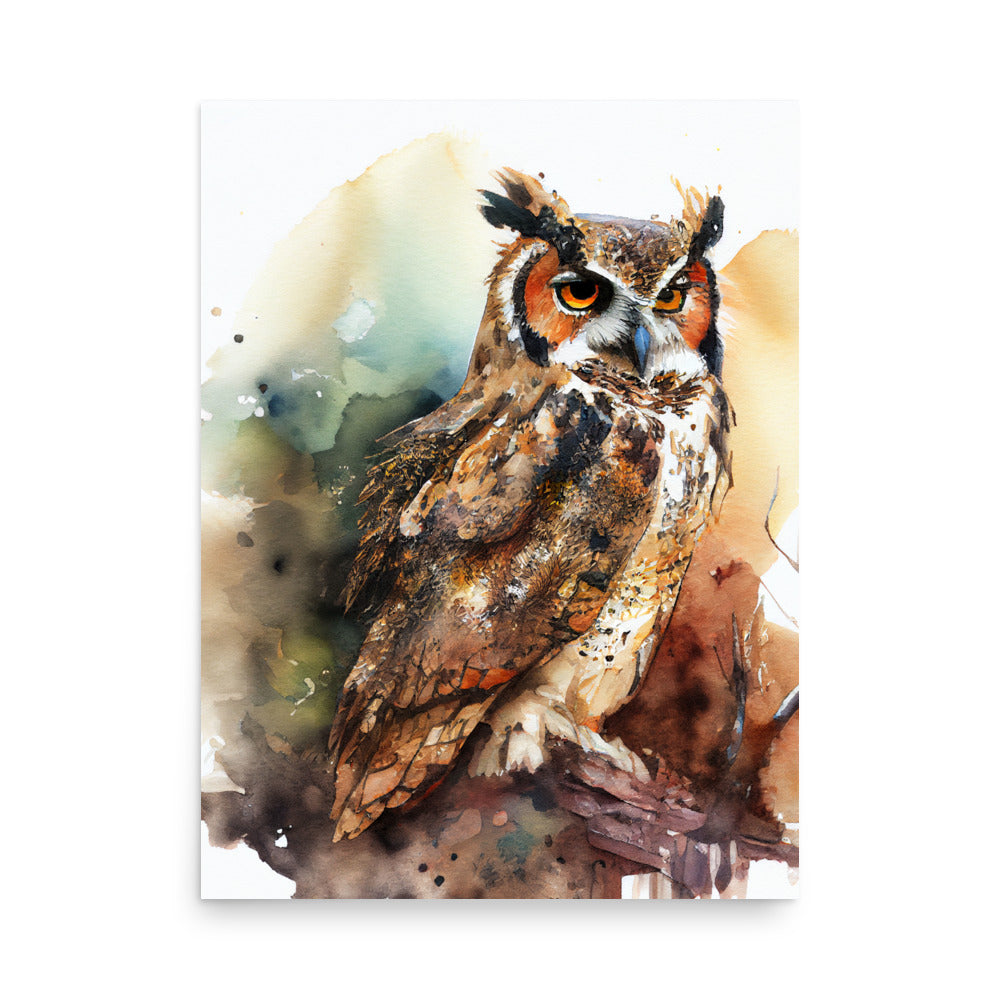 Wildlife: Owl