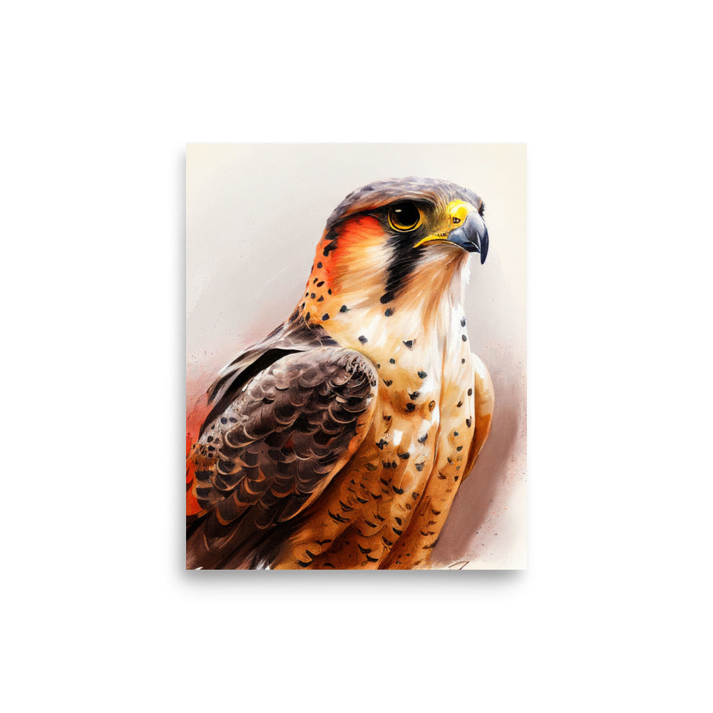 Wildlife: Falcon