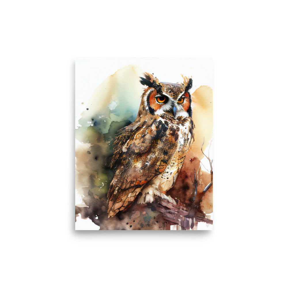 Wildlife: Owl