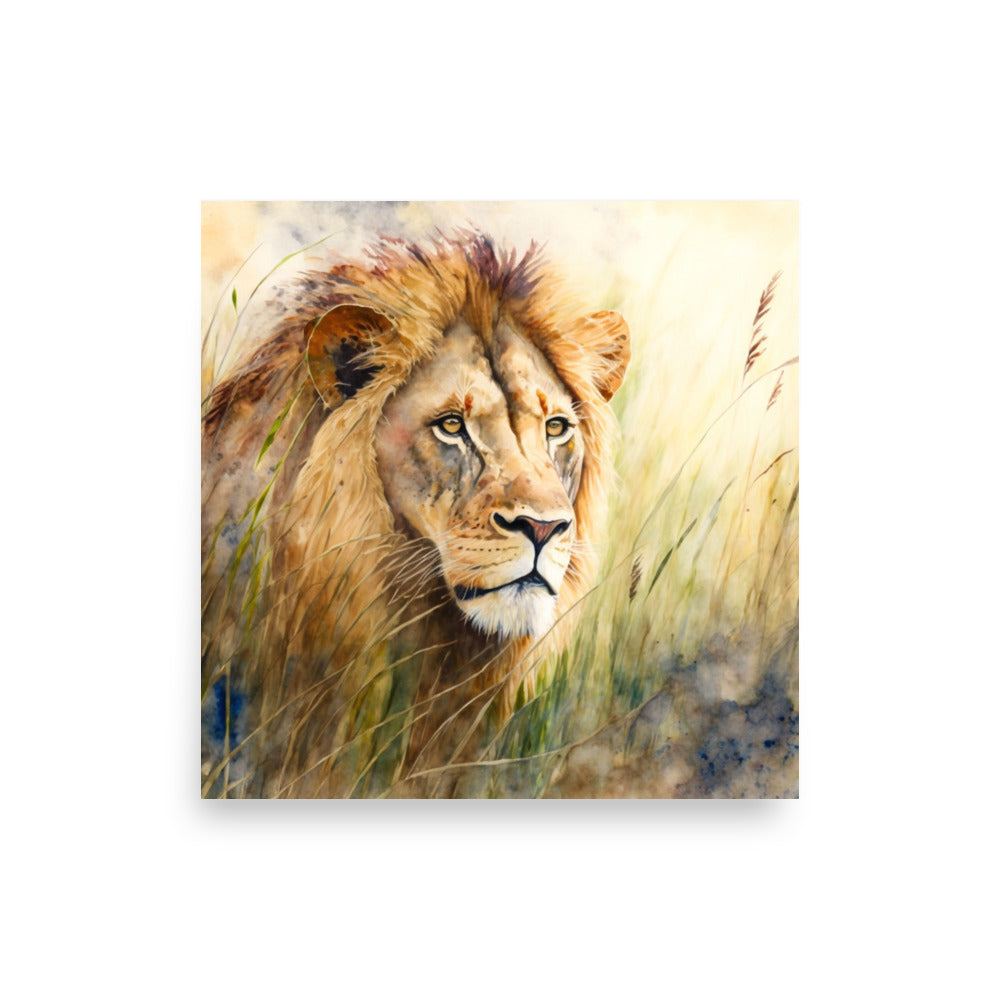 Wildlife: Lion in the grass