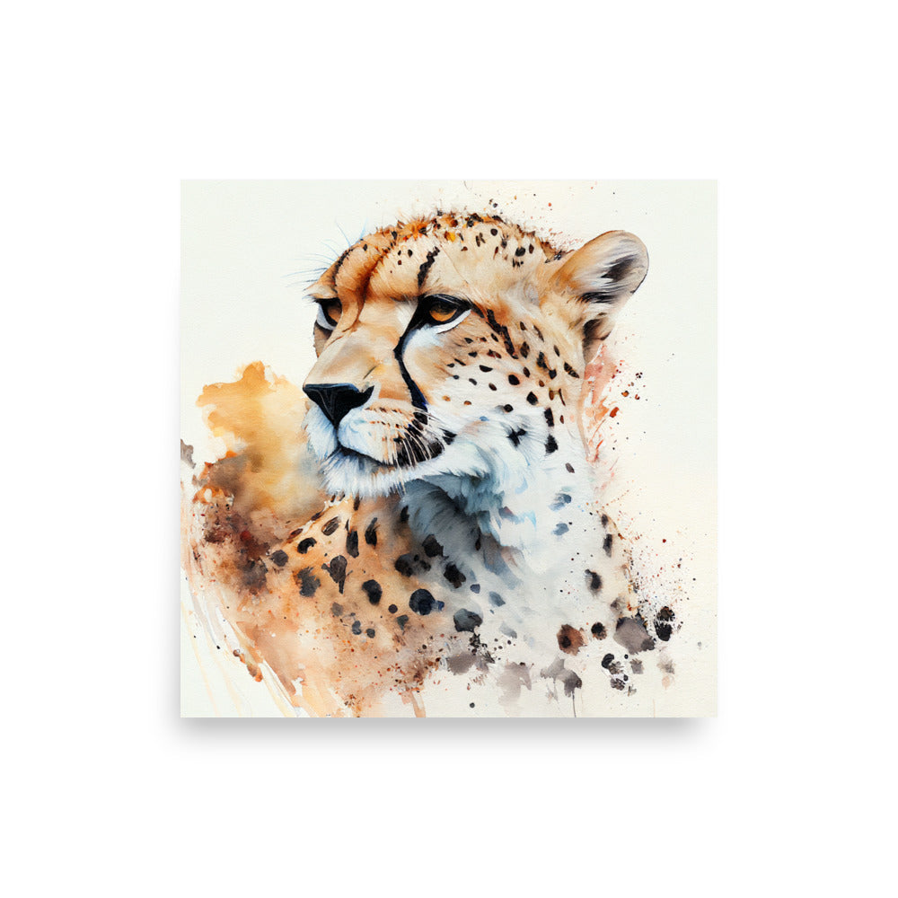 Wildlife: Cheetah