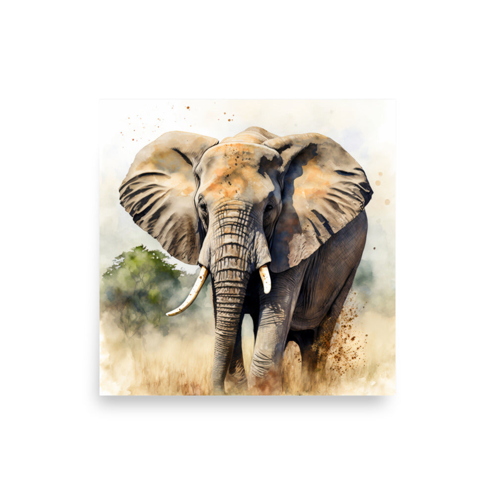 Wildlife: Elephant