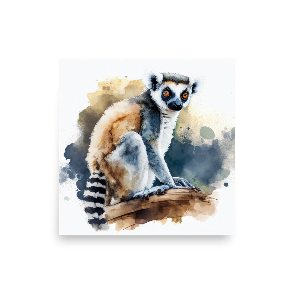 Wildlife: Lemur