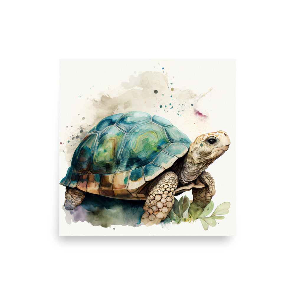 Wildlife: Tortoise