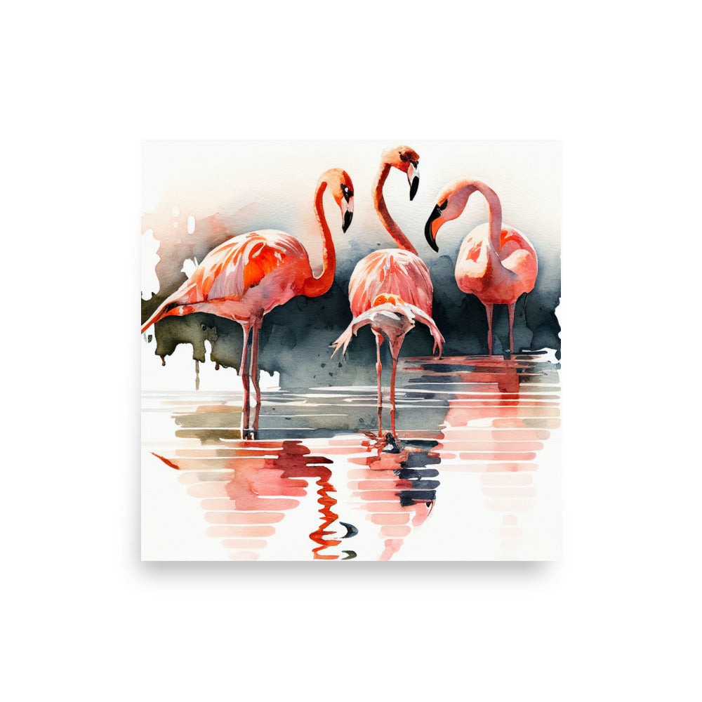 Wildlife: Flamingoes
