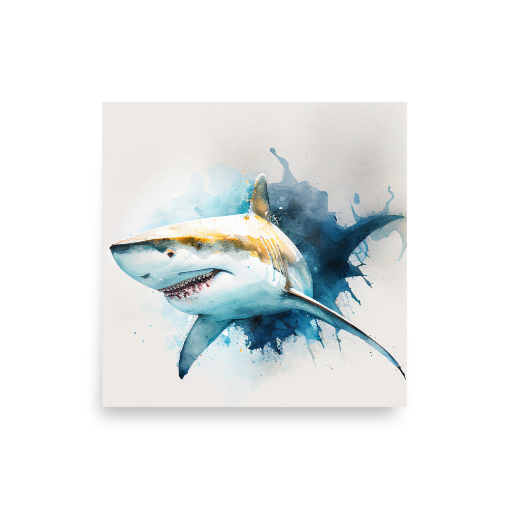 Wildlife: Shark