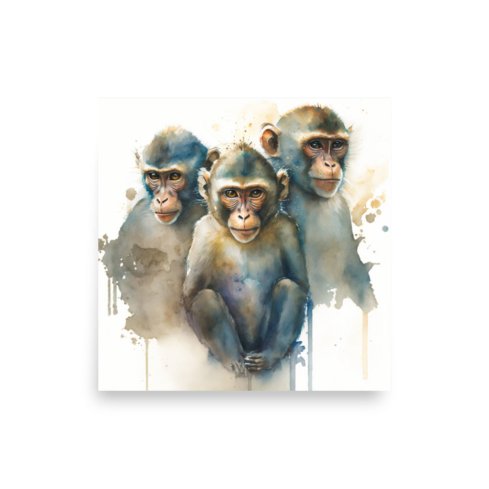 Wildlife: Three monkeys