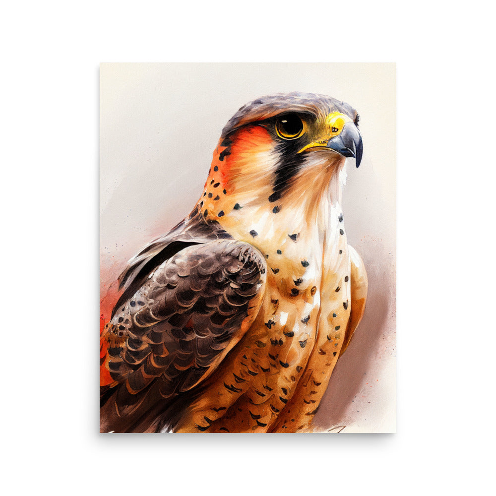 Wildlife: Falcon