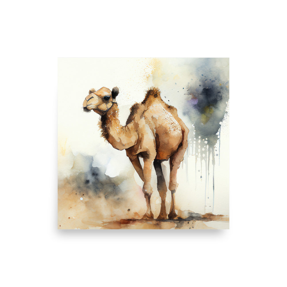 Wildlife: Camel