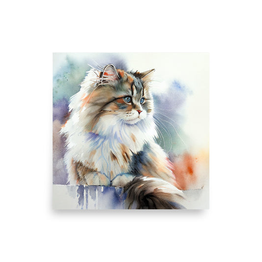 Siberian Cat