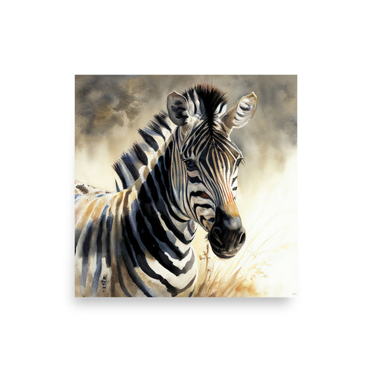 Wildlife: Zebra