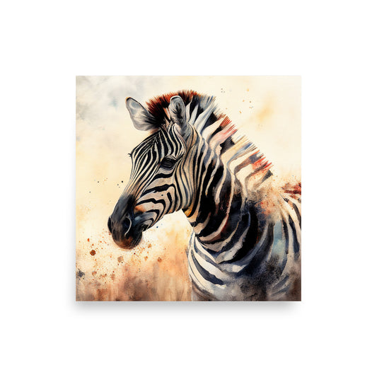 Wildlife: Zebra