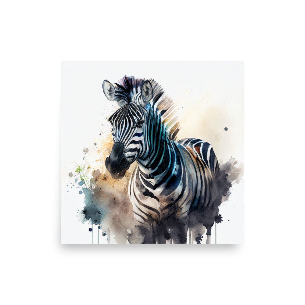 Wildlife: Zebra