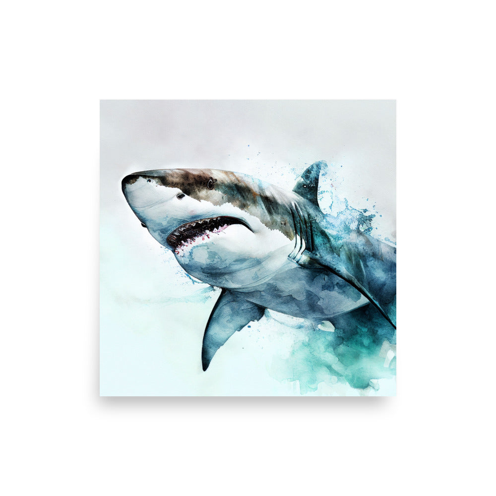 Wildlife: Shark