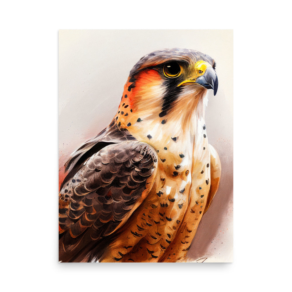 Wildlife: Falcon